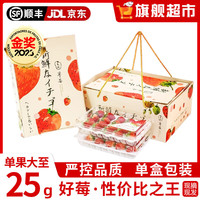 田拾记大凉山红颜草莓【JD/】非丹东99牛奶草莓水果新鲜年货节 2盒礼盒装【净重600-650g】 单果23g+【商务】