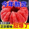 红心蜜柚平和琯溪红肉柚子新鲜应季水果现摘净重4.5斤以上