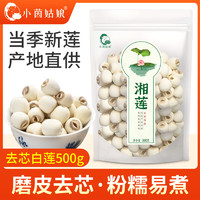 小茵姑娘湘莲500g 湘潭去芯磨皮通芯白莲子干货 银耳百合莲子四神汤食材 【粉糯清香】去芯莲子500g