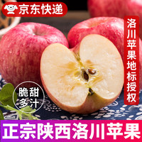京地达陕西洛川红富士苹果 净重8.5斤单果260g+脆甜 新鲜水果 源头直发 净重8.5-9斤 特大果【12-15枚】