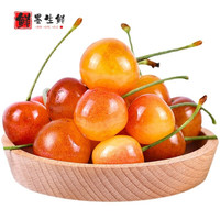 千朵云智利黄车黄蜜黄水晶樱桃 纯甜大樱桃 烟台樱桃孕妇水果JJJ级大果 10g 巨无霸 JJJ 32-34mm 5斤 精选礼盒装