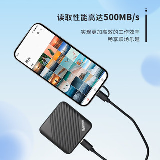 紫光闪存（UNIS FLASH MEMORY）1TB 移动固态硬盘（PSSD）USB3.1 读速500MB/S 兼容手机平板笔记本电脑 N2系列 典雅灰 N2典雅灰