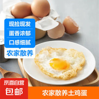 舌尖攻略土鸡蛋 新鲜鸡蛋 农家散养 山林自养鸡蛋