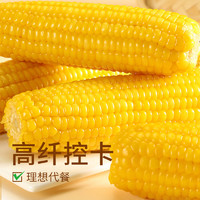 粮玉万顷 东北黑/黄糯玉米 220g*8支