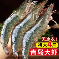 七叶岛国产青岛海捕大虾4斤盐冻大虾装特大号 青虾冻海虾生鲜     16-18MM  规格30-40