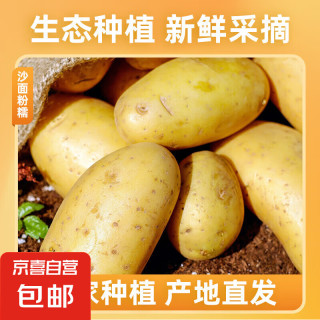 京喜加 新鲜黄心土豆农家自种  2斤