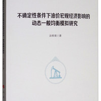 不确定性条件下油价宏观经济影响的动态一般均衡模拟研究/气候变化与能源经济研究丛书