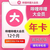 哔哩哔哩 bilibili 大会员 年卡