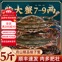 梭子蟹鲜活特大野生舟山大螃蟹海鲜新鲜冷冻海蟹水产飞蟹白蟹顺丰