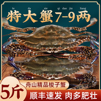 梭子蟹鲜活特大野生舟山大螃蟹海鲜新鲜冷冻海蟹水产飞蟹白蟹 3-5两/只 【净重6斤舟山梭子蟹】 3-5两/只 【6斤舟山梭子蟹】