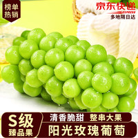 沙窝曙光 山西阳光玫瑰葡萄晴王香印提子无籽时令新鲜水果生鲜 爆卖鲜果净重 4.5斤 -5斤