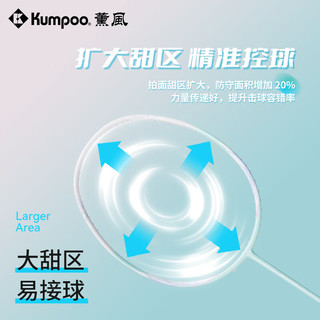 薰风（KUMPOO）2024新款羽毛球拍DS202 全碳素攻守兼备熏风初学入门训练球拍 DS-202  成品拍