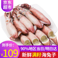 弹指鲜生 海兔子 满籽笔管鱼 1500g