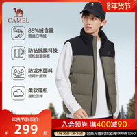 CAMEL骆驼男装羽绒服马甲男冬季2024立领防泼水内搭保暖背心外套男