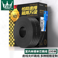 万级 皮线光纤跳线电信级 SC-SC室外单模单芯 1芯3钢丝尾纤 低烟无卤网线光纤入户线100米2-191113