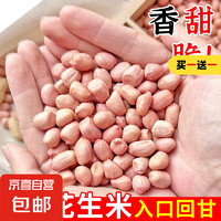 京喜 JX 河南大白沙花生米 500g 1袋