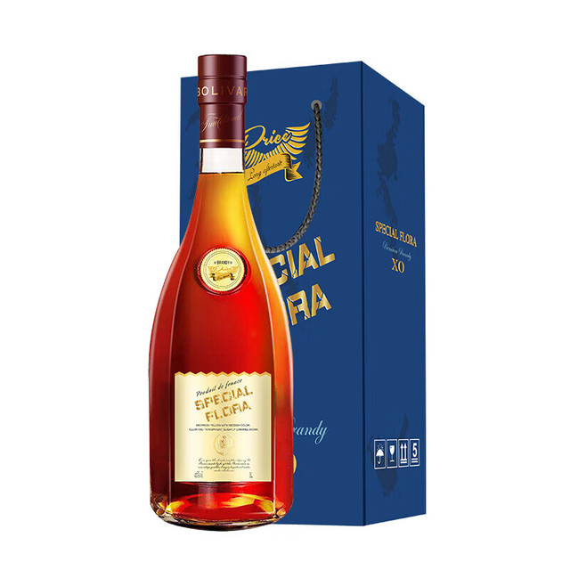 凯斯蒂隆 法国进口XO白兰地40度3L洋酒