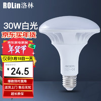 洛林 ROLin）led灯泡大功率节能灯照明灯家用商用工厂超亮飞碟灯E27螺口30w