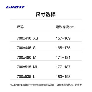 捷安特（GIANT）Defy ADV Pro 2碳纤维24速长程耐力竞技弯把公路成人自行车 Carbo 700C×515MM ML 177-187cm