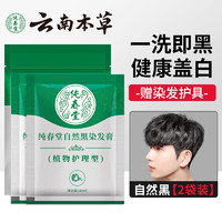 纯春堂 汉斯染发膏 #自然黑 30ml*2