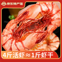 海鲜颂 九节虾干即食大虾干烤虾干对虾干特大斑节虾干海产干货风干大烤虾 中号斑节虾干500g/50-60只