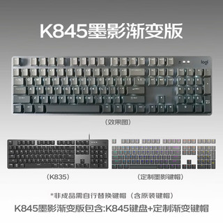 罗技（Logitech） K845游戏机械键盘 电竞键鼠套装 G502 HERO有线键鼠 游戏鼠标G402DJ11圣诞 K845龙华轴-红轴墨影渐变