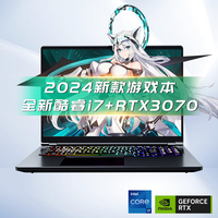 HAEWI 新款2024【酷睿i7十三代英特尔+独显 英特尔i7级+4G独立显卡 16G运行 512G超速固态硬盘