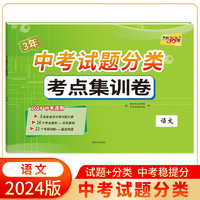 天利38套 2024 语文 中考试题分类 考点集训卷