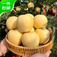 京鲜生山东烟台黄金维纳斯苹果 净重 单果140g起 源头直发包邮