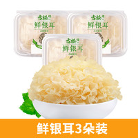 古松食品 古松 福建古田鲜银耳6朵盒装700g白木耳银耳莲子羹雪耳糯耳