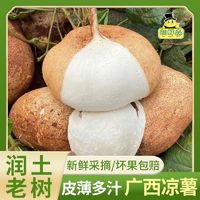 百亿补贴：胡鲜森 广西沙地凉薯 4.5斤 新鲜蔬菜