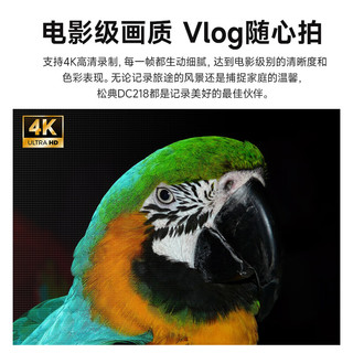 松典（SONGDIAN）数码相机 vlog前后双摄照相机微单4K相机校园款 黑色+广角镜套装 标配+64G内存