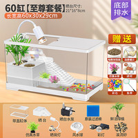 添悦乌龟饲养缸家用带晒台爬台养龟箱客厅生态造景塑料小鱼缸耐摔 【特大号】全套组合套餐