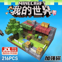 赟娅我的世界磁力方块套装积木大颗粒拼装模型男孩玩具女孩 村民小院216颗粒6公仔