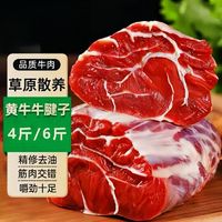 百亿补贴：绝世 JUEJHI 黄牛肉新鲜牛腱子肉生牛肉4/6斤腱子肉新鲜牛肉包邮