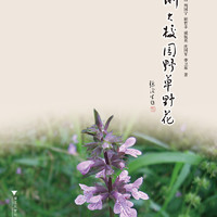 浙大校园野草野花 浙江大学校园植物