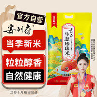 宴到府 大米 2024年新米 粳米