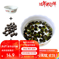 瑞蔬源 水生莲花种子睡莲荷花卉水培植物阳台易活莲花混色小份+塑料盆