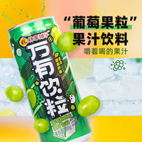 林家铺子万有饮粒 300g复合果汁饮料 添加果肉膳食纤维 葡萄300g*6罐