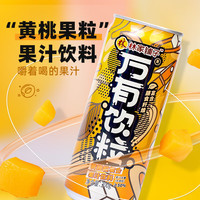 林家铺子万有饮粒 300g复合果汁饮料 添加果肉膳食纤维 黄桃300g*6罐