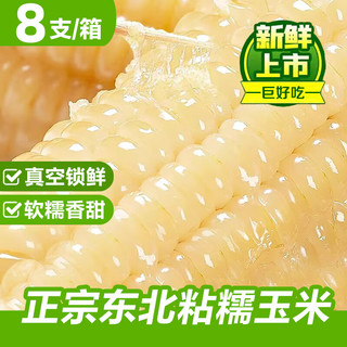 东北 吉林白糯玉米 250g*8 真空装