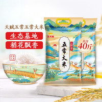 金龙鱼 天赋五常大米 10kg*2袋 40斤