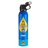 FlameFighter 车载灭火器水基灭火器汽车家用消防3C认证器材21B环保620ml蓝色款