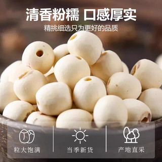 王小珥菌菇礼盒煲汤材料羊肚菌等三十味南北干货特产过年年货节长辈 大满贯菌菇礼盒 470g