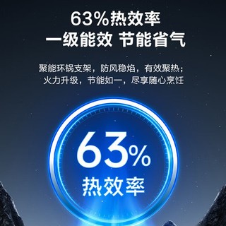 苏泊尔燃气灶家用天然气灶5.2KW火力液化气灶两用罐装煤气灶大火