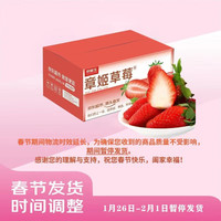 京鲜生 山东章姬甜宝草莓1.5斤 单果15g+ 新鲜水果 源头直发 【章姬】250g*3盒(11-15粒/盒)