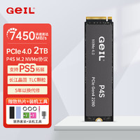 移动端、京东百亿补贴：金邦 GeIL P4固态硬盘PCIE4.0 2T 7450MB/S