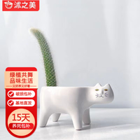 沭之美猴尾柱九尾狐猫咪花盆桌面绿植植物  九尾狐+白猫盆 源头直发