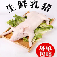 新食道整只乳猪 新鲜现杀速冻锁鲜农家散养小香猪 脆皮乳猪佳品 20斤左右（整只去内脏）