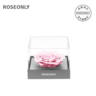 ROSEONLY 永生花玫瑰花礼盒 粉色